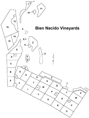 Map of vineyard blocks at Bien Nacido