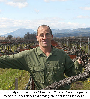 Chris Phelps at Oakville X Vineyard