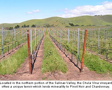 Grapes sourced from Cima Collina’s Chula Vina vineyard lend a minerality to the winery’s Chardonnay and Pinot Noir