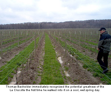 Bachelder immediately recognized the potential of the Le Clos vineyard