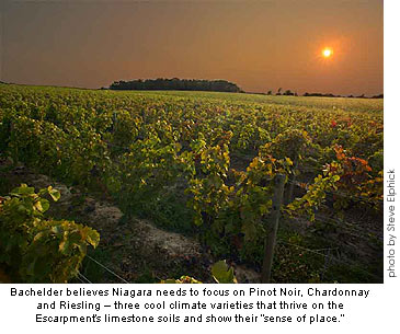 Thomas Bachelder believes Niagara should concentrate on Pinot Noir, Chardonnay and Riesling