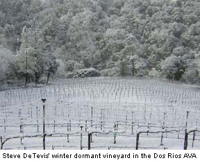 Winter in the Dos Rios Appellation