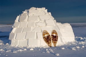 Goldfarb-igloo-300.jpg