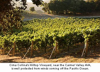 Cima Collina’s Hilltop Vineyard is located near the Carmel AVA