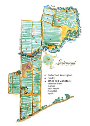  Larkmead-map