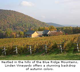 Virginia's Linden Vineyards in the Fall