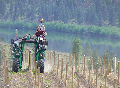 Matt Mavety at Blue Mountain Vineyard