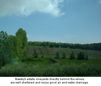 Lawrence Mawby’s estate vineyards