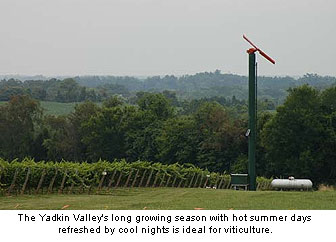 The climate of the Yadkin Valley is ideal for viticulture