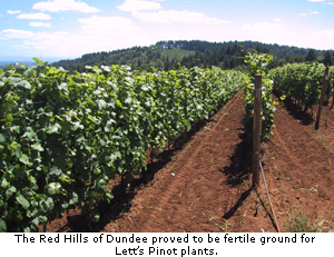 The Red Hills of Dundee proved to be fertile ground for Lett’s Pinot plants.