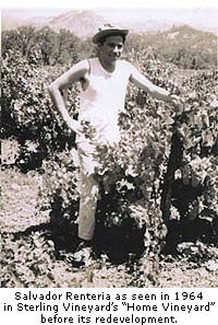 Salvador Renteria began working at Sterling Vineyards in the early 1960s