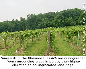 Von Jakob Vineyards in Illinois' Shawnee Hills AVA