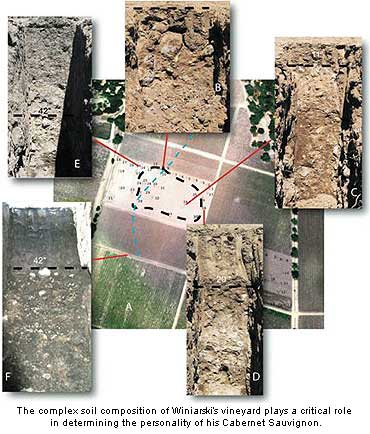 The soils of the Stags Leap District determine the characteristics of the wine