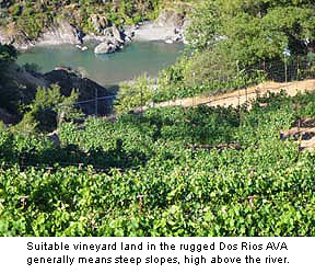 Dos Rios’ steep sloped vineyards