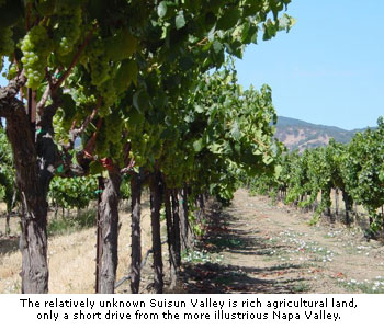 Suisun has rich agricultural land and is just south of Napa