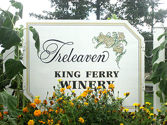  Treleaven-Sign.jpg 