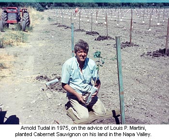 Arnold Tudal planting Cabernet Sauvignon in 1975