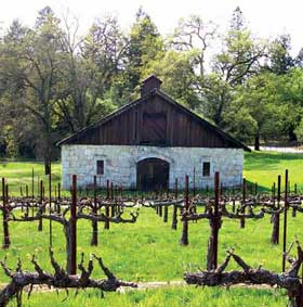 Atalon vineyards and barn