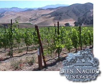 The story of a one of a kind vineyard and its success.