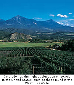 Colorado’s high elevation vineyards