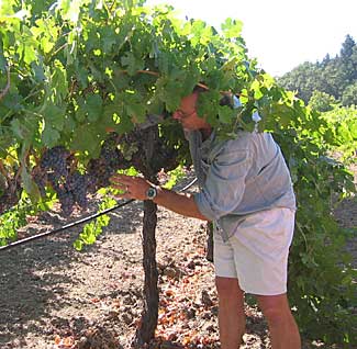 Eric Titus tending Cab Franc