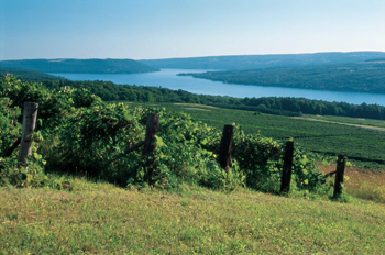 keuka lake view