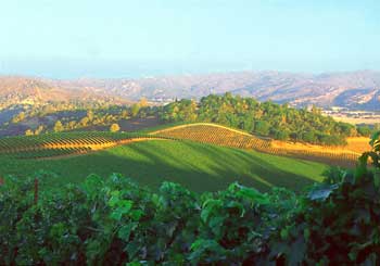 A view of Lake County