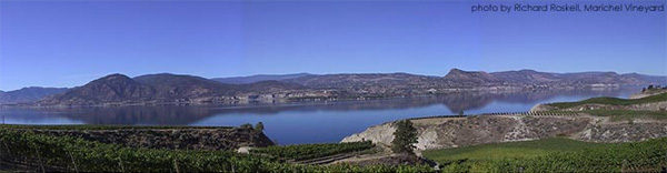 Naramata Bench Vineyards