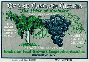 Grapes Poster