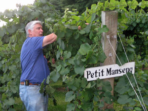 Petit Manseng