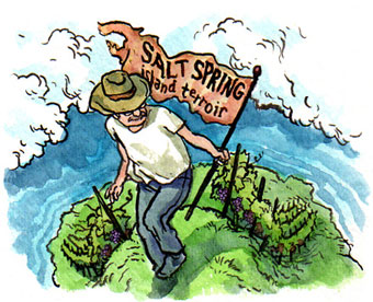 Salt Spring Island in the Gulf Islands appellation
