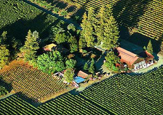 Sequoia Grove Winery