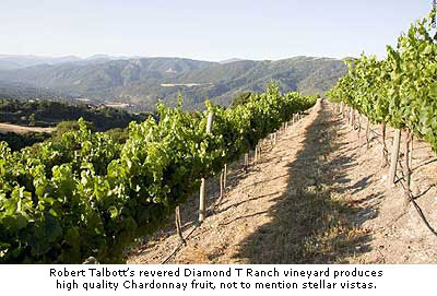 Diamond T Ranch vineyard