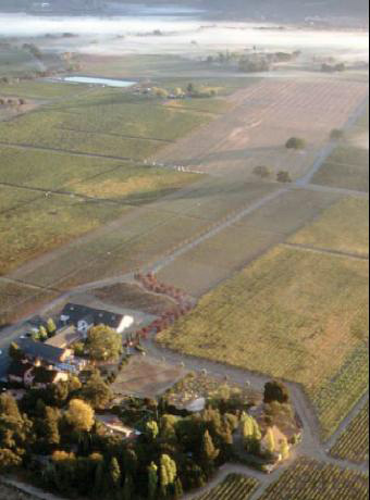 Aerial view Trefethen Vineyards