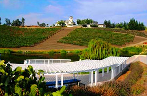 Leal Vineyards