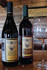 Hinterland Vineyard and Winery