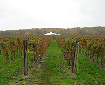 Le Clos Jordanne - Niagara Peninsula Pinot Noir and Chardonnay Wines