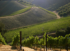 Stevenot Winery