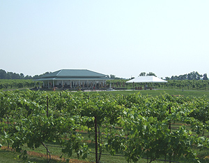 Twin Oaks Vineyard and Winery