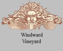 Windward Vineyard