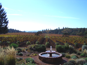 Spence Vineyards