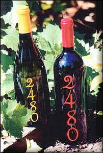 Hollywood & Vine Cellars 2480-St. Helena-