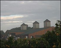 Bouchaine Vineyards - Carneros