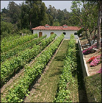 Stewarts Vineyard, Temecula Valley, California Wines