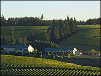 Willakenzie Estate Winery - Willamette Valley, Oregon